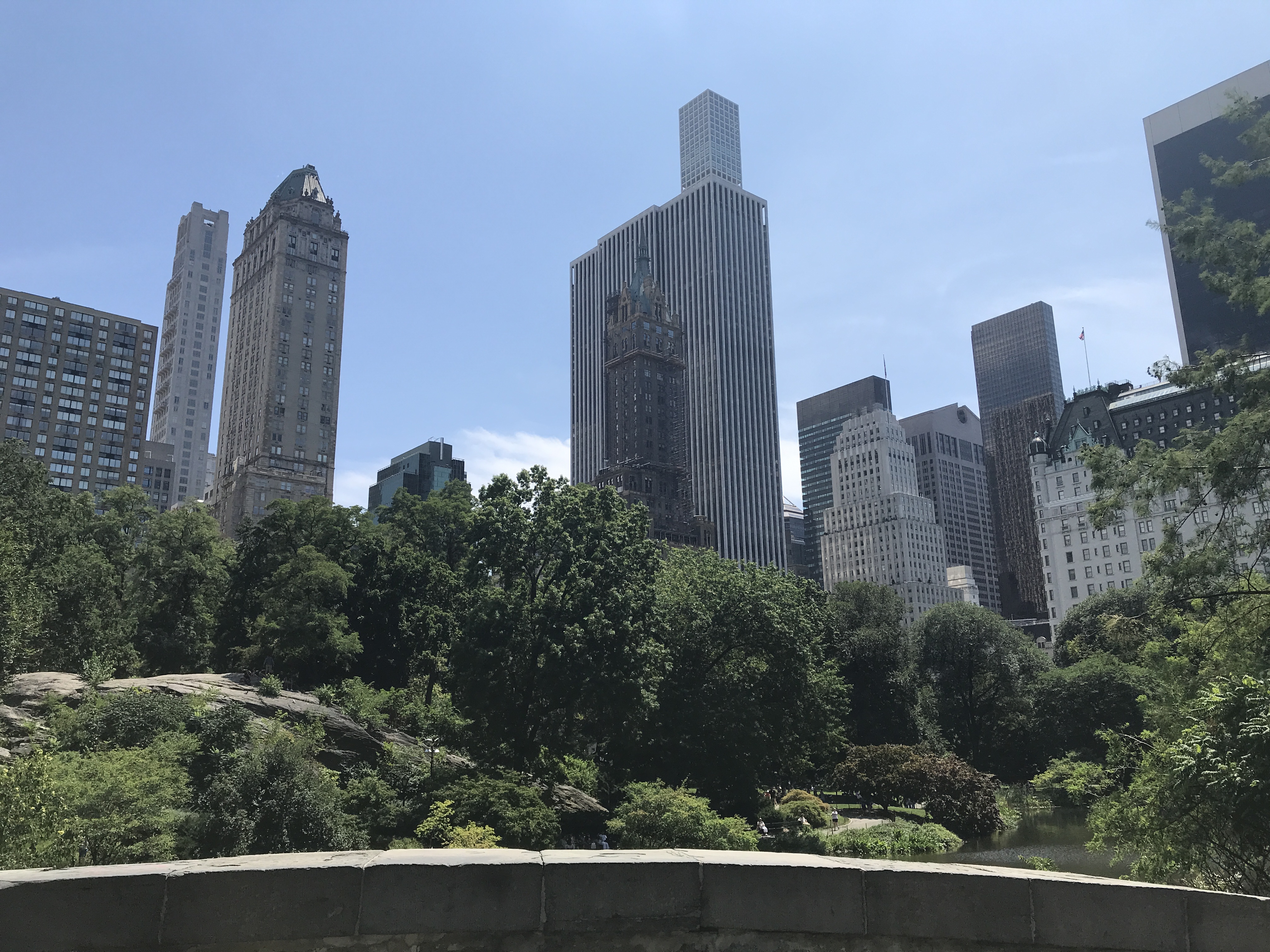 Central park view